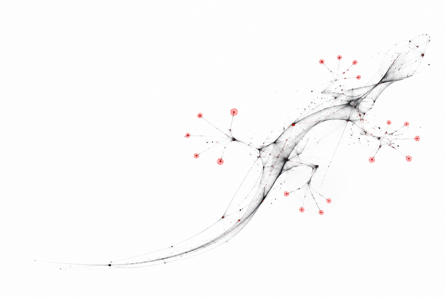 An organic corpus emerging from connected points